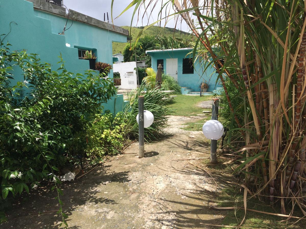 Vicky'S Keys Hostel Upper Prince's Quarter Luaran gambar
